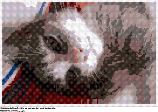   .قطه صغيرهنمط عبر خياطة ل تصميم تطريز مجاني 