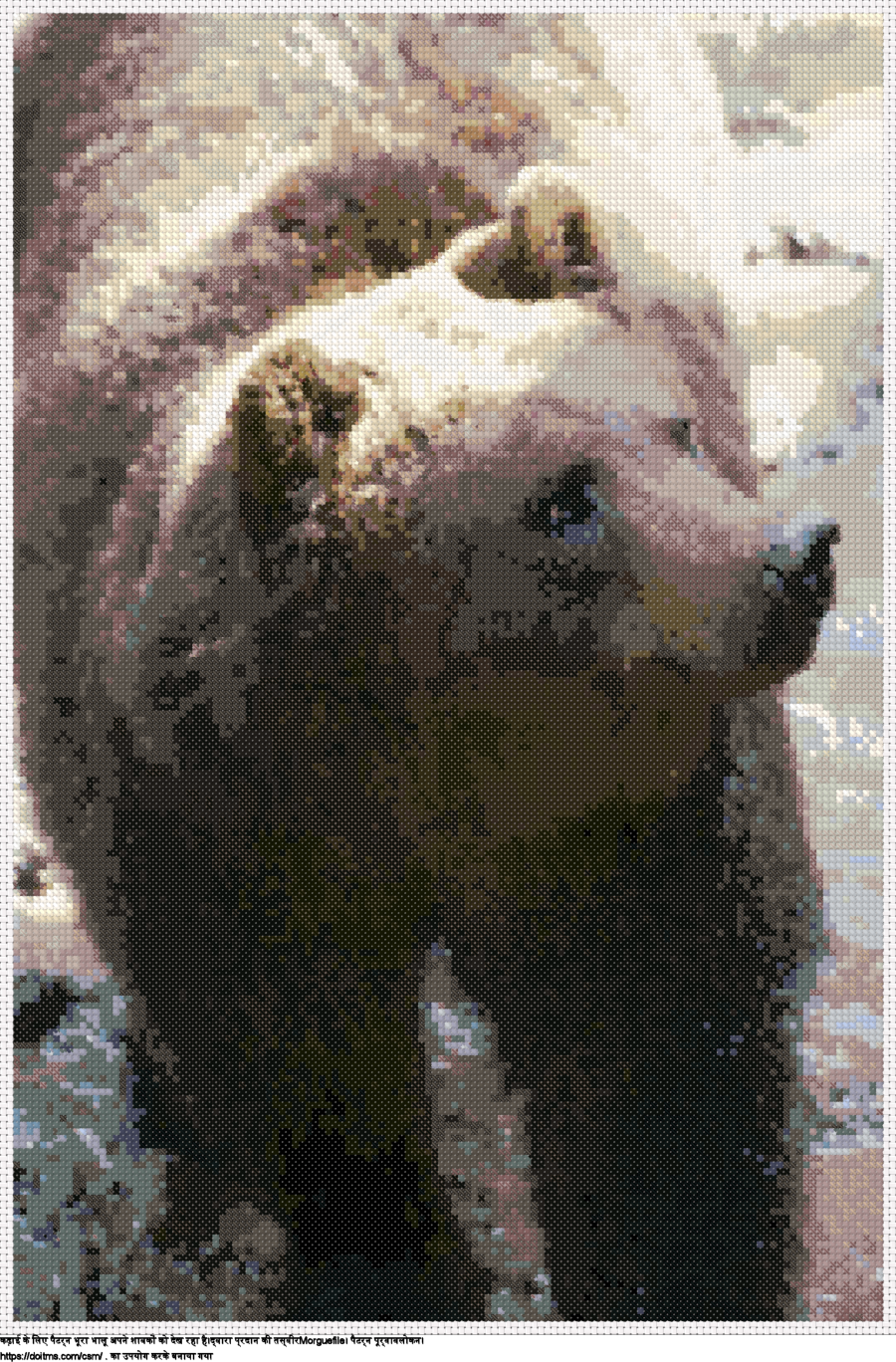 भूरा भालू अपने शावकों को देख रहा है
