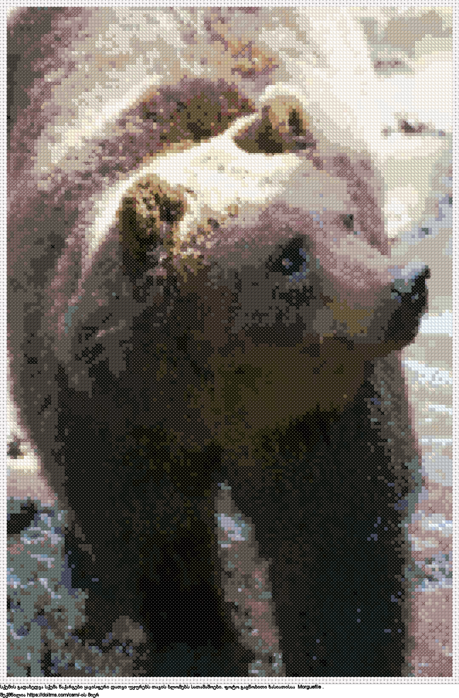 უფასო სქემა ყავისფერი დათვი უყურებს თავის ბლომებს ჯვრებად ქარგვისთვის