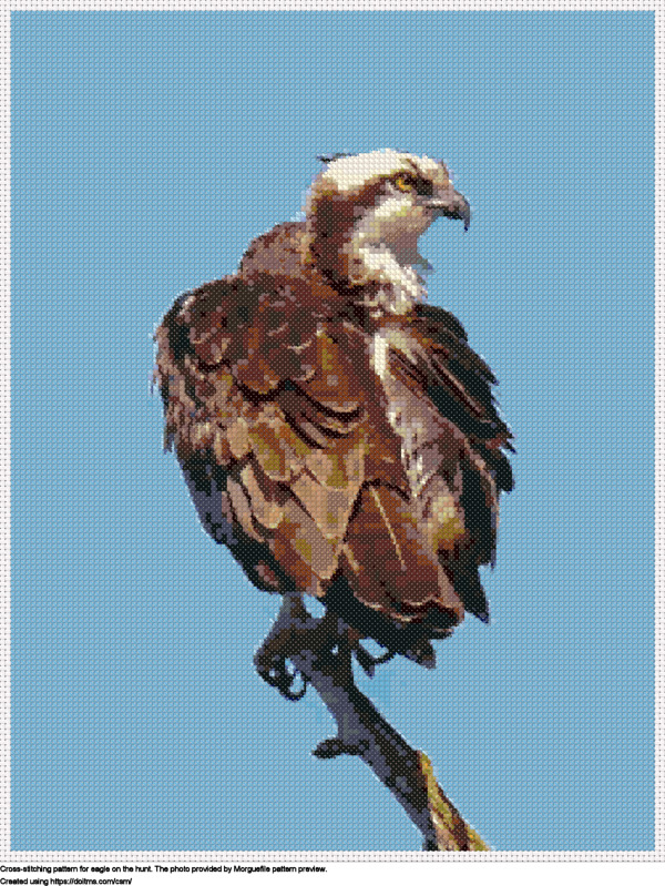 Free Eagle on the hunt cross-stitching design