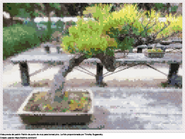 Relajante Planta Japonesa En Maceta Situada En Jardín Trasero