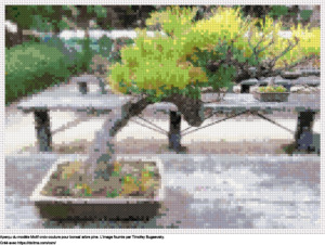 Motif de point de croix bonsaï arbre Pine gratuit