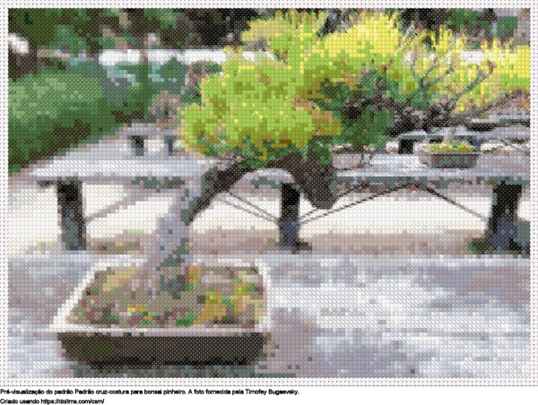 Desenhos bonsai pinheiro de ponto-cruz gratuitos