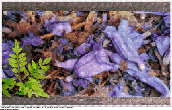 Motif de point de croix Pousse vert clair dans un drain plein de fleurs violettes gratuit
