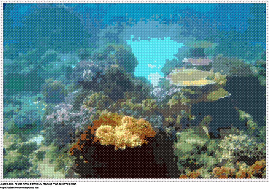עיצוב רקמת צלבים אלמוגים בחינם