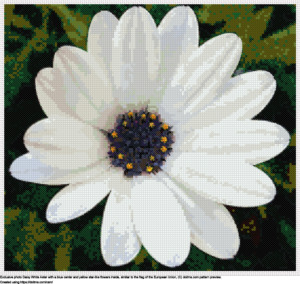 Free White Daisy Aster similar to the flag of the European Union cross-stitching design