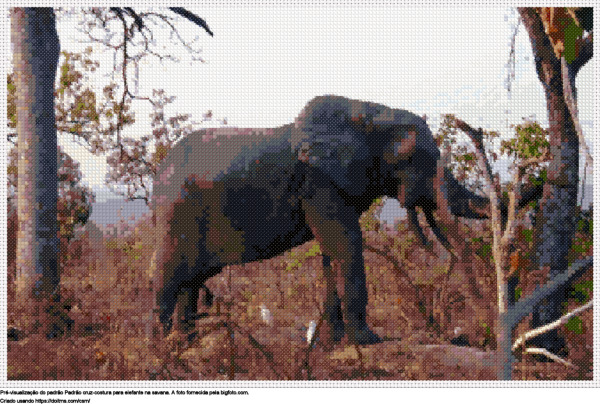 Desenhos Elefante na savana de ponto-cruz gratuitos