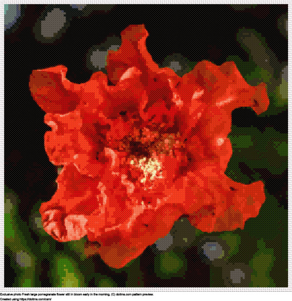 Free Fresh pomegranate flower cross-stitching design