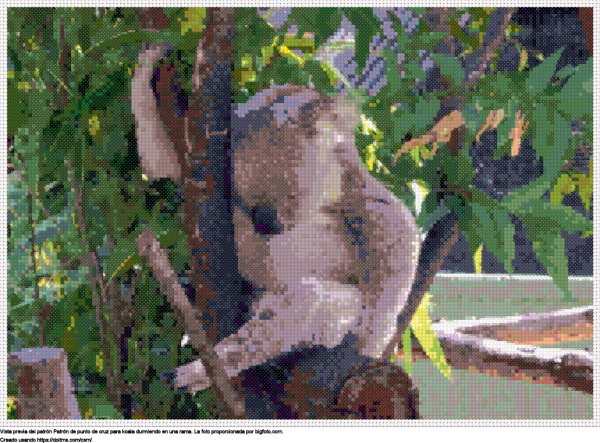Diseño de punto de cruz Koala durmiendo en una rama gratis