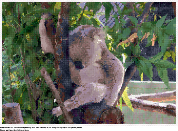 Libreng Koala dormant sur une branche disenyo para sa cross-stitching