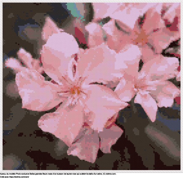Motif de point de croix Fleurs de laurier-rose rose sur un énorme buisson gratuit