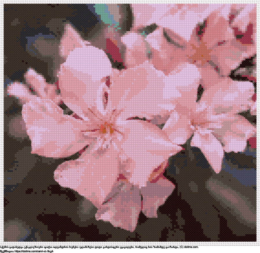 უფასო სქემა ვარდისფერი ოლეანდრის ყვავილები უზარმაზარ ბუჩქზე ჯვრებად ქარგვისთვის