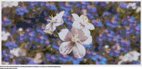 Gratis Vita blommor av pimpernel på en bakgrund med en massa blå pimpernels korsstygnsdesign