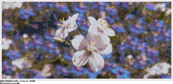 免費 背景上的青椒白花，有很多藍色青椒 十字縫設計