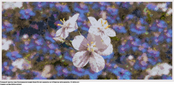 Безкоштовна схема Білі квіти анагаліс на фоні блакитних анагаліс для вишивання хрестиком